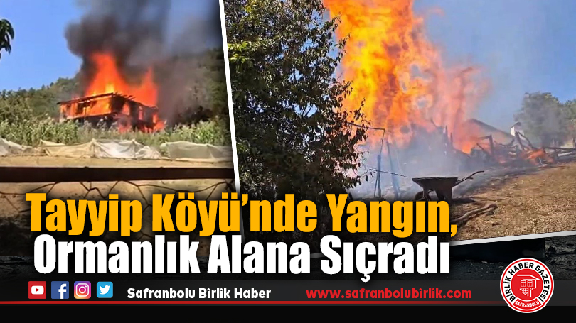 Karabük’te ahşap evde çıkan yangın ormanlık alana sıçradı