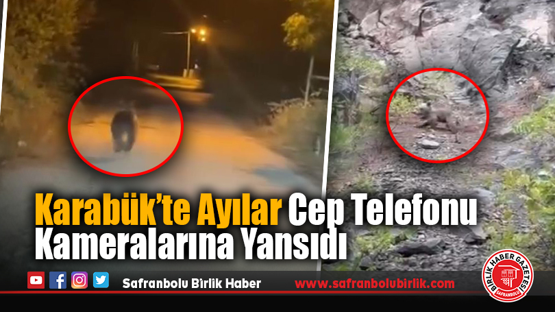 Karabük’te Ayılar Cep Telefonu Kameralarına Yansıdı