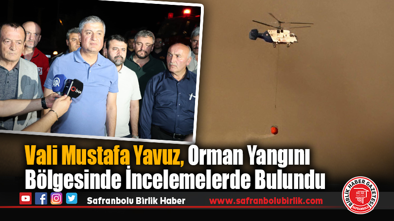 Vali Mustafa Yavuz, Orman Yangını Bölgesinde İncelemelerde Bulundu