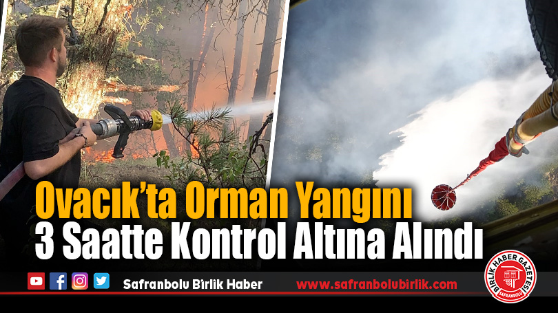 Ovacık’ta Otluk Alanda Başlayan Yangın Ormana Sıçradı
