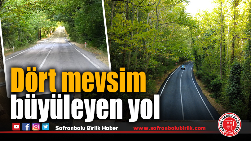 Safranbolu’nun “ağaç tüneli” doğaseverleri büyülüyor