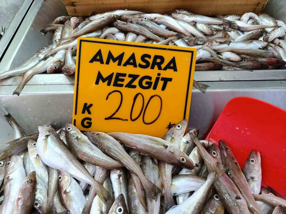 Balıkçılar palamut için “kestane karası”nı bekliyor