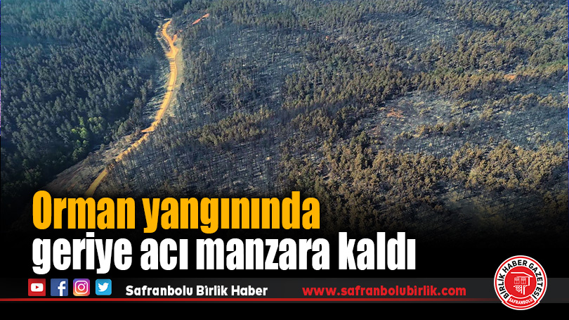 Karabük’teki orman yangınında geriye acı manzara kaldı