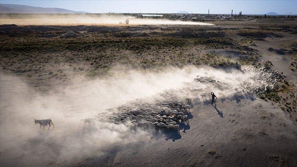 Küçükbaş hayvan desteklerinin artırılması sektörde sürdürülebilirliğe katkı sunacak