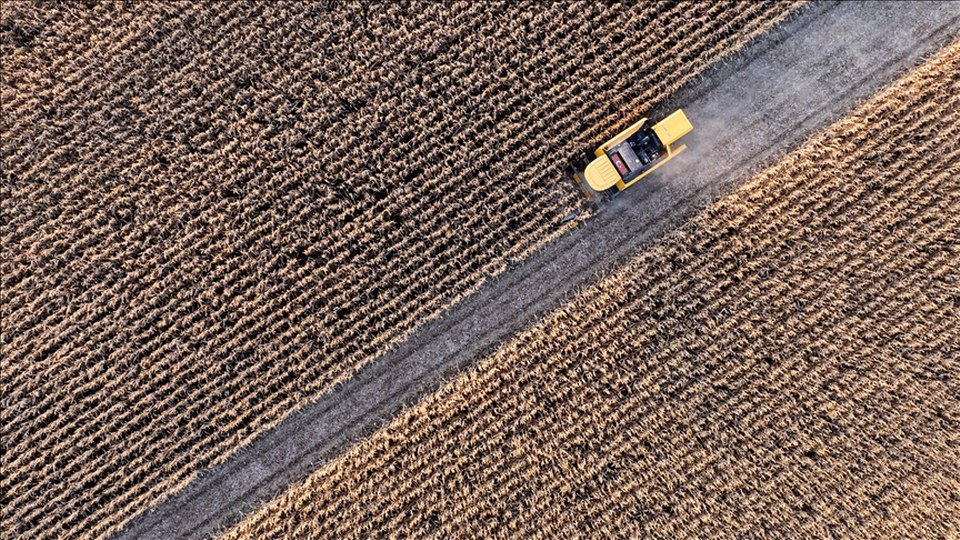 Tarımsal girdi fiyat endeksi temmuzda yıllık yüzde 34,22, aylık yüzde 3,68 arttı