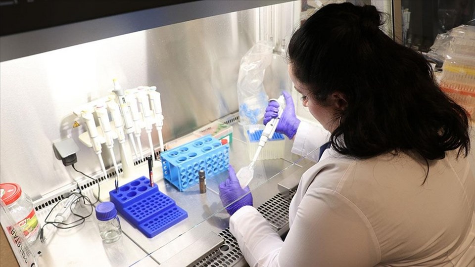 Bağırsak hastalıklarının tedavisi için Kütahya’da bor mineralli ürün geliştirildi