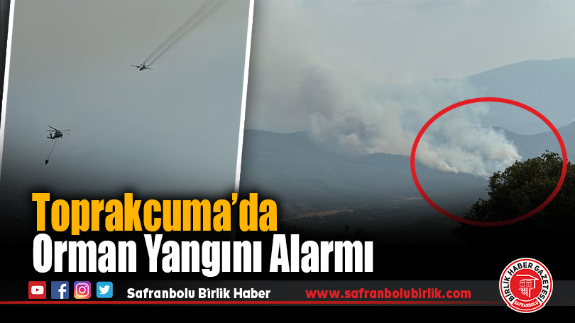 Karabük-Kastamonu Yolunda Orman Yangını