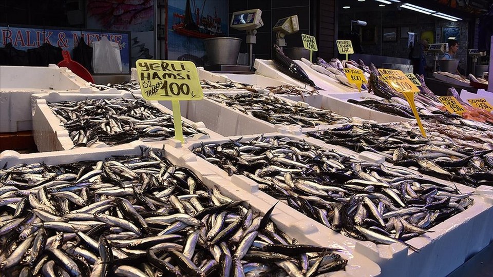 Trabzon’da hamsinin kilogramı 100 liradan satışa sunuldu