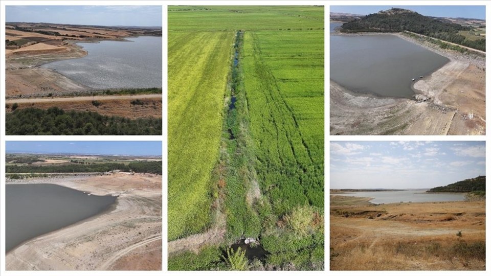Altınyazı Barajı, Edirneli çeltikçiye kuraklığı hissettirmedi