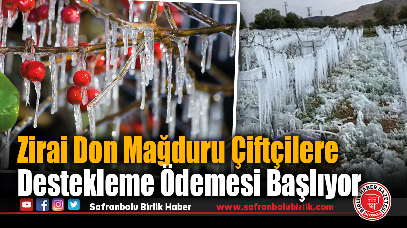 Zirai Don Nedeniyle Çiftçilere Destekleme Ödemesi Kararı Yayımlandı