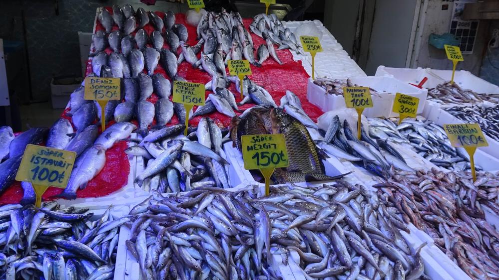 Samsun’da hamsini kilosu 300 TL’den 100 TL’ye düştü: Kapış kapış gitti