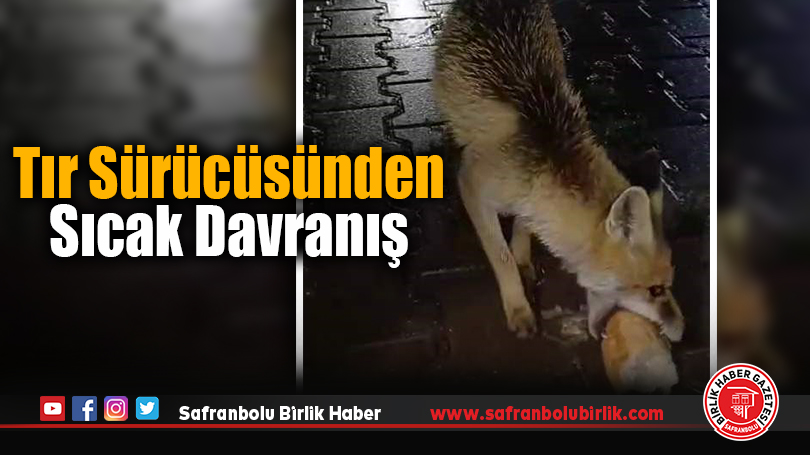 Tır Sürücüsünden Sıcak Davranış