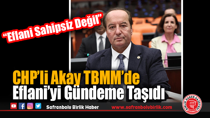 CHP’li Akay TBMM’de Eflani’yi Gündeme Taşıdı