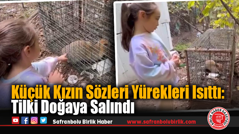 Küçük Kızın Sözleri Yürekleri Isıttı: Tilki Doğaya Salındı