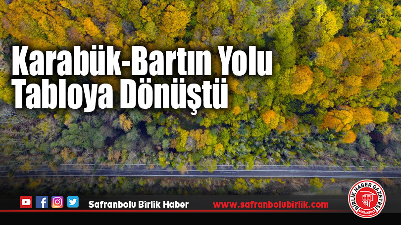 Karabük-Bartın Yolundaki Ağaç Tünel Sonbahar Renklerine Büründü