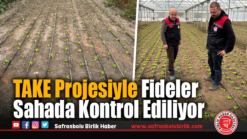 TAKE Projesi Kapsamında Kışlık Sebze Fideleri Kontrol Ediliyor