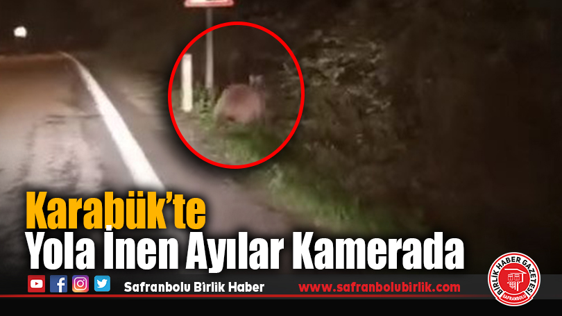 Karabük’te Yola İnen Ayılar Kamerada