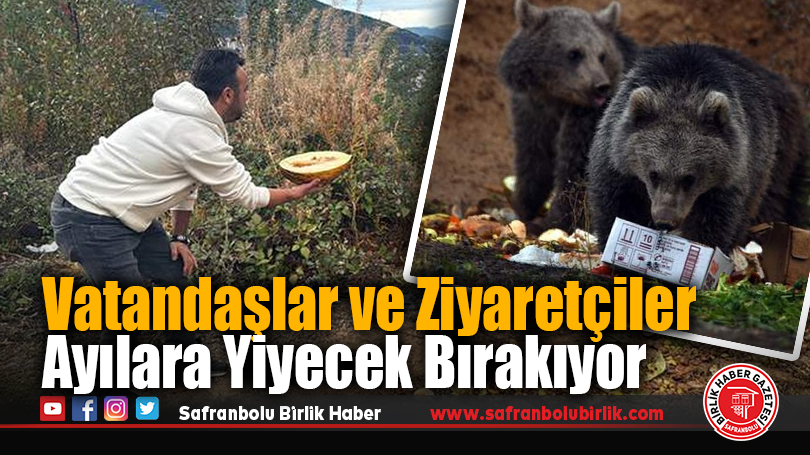 Vatandaşlar ve ziyaretçiler ayılara yiyecek bırakıyor