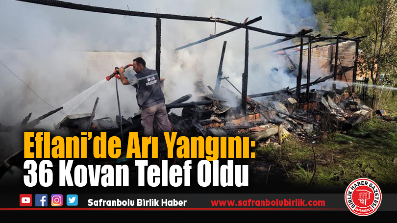 Eflani’de Arı Yangını: 36 Kovan Telef Oldu