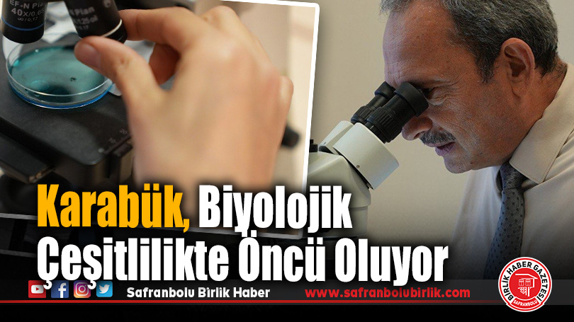 KBÜ’den Türkiye’de Bir İlk: Orman Fidanlıklarında Toprak Canlıları Araştırılacak
