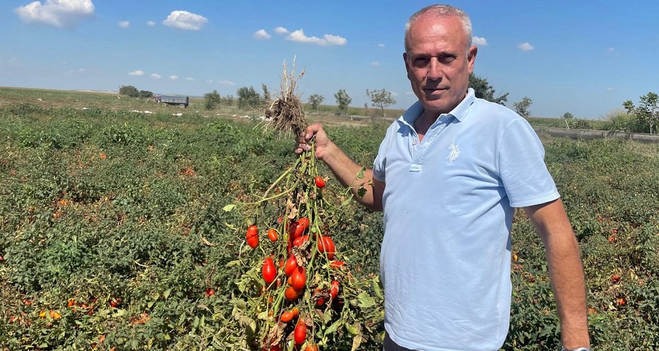 Londra’da kazandıklarıyla memleketine toprak yatırımı yaptı