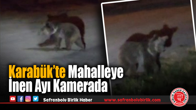 Karabük’te Mahalleye İnen Ayı Kamerada