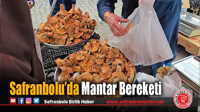 Safranbolu’da Kanlıca ve Ebişke Mantarları Tezgahlarda Yerini Aldı