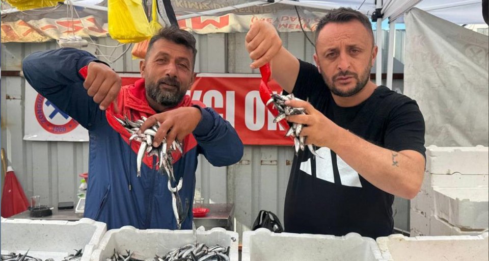 Hamsinin fiyatı 70 liraya indi, tezgahlar şenlendi