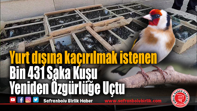 Bin 431 Saka Kuşu Doğaya Salındı