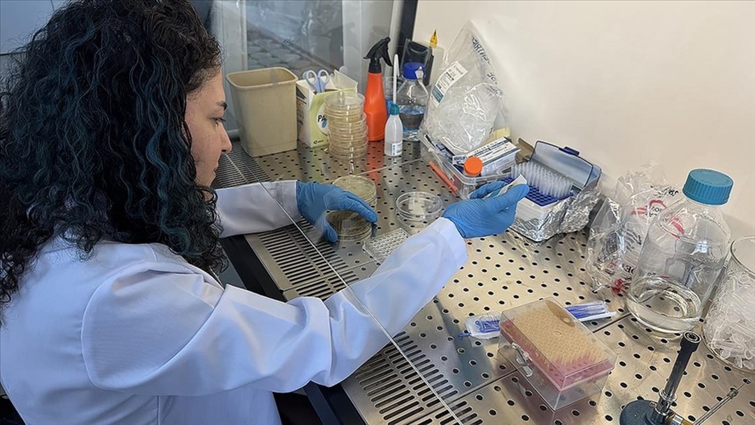 Bor kullanılarak geliştirilecek yara örtüsü diyabetik yaraların daha hızlı iyileşmesini sağlayacak