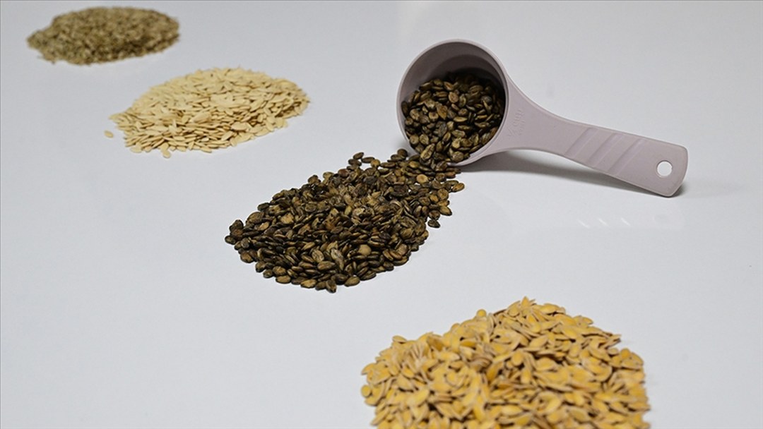 Güneydoğu’dan Afrika’ya hububat ihracatı yüzde 18,9 arttı