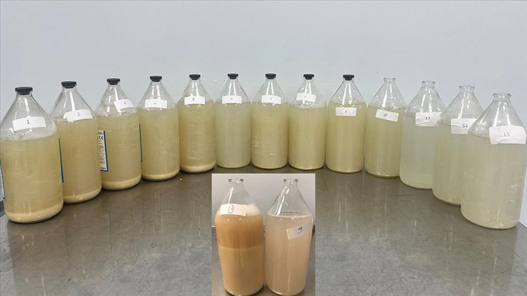 Akciğer yıkaması yöntemiyle hastalar yeniden rahat nefes alıyor