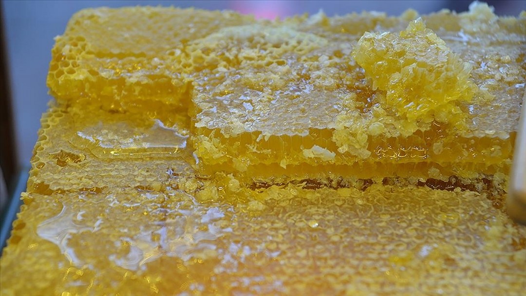 Doğu Karadeniz’in 9 aylık bal ihracatı 1,7 milyon doları aştı