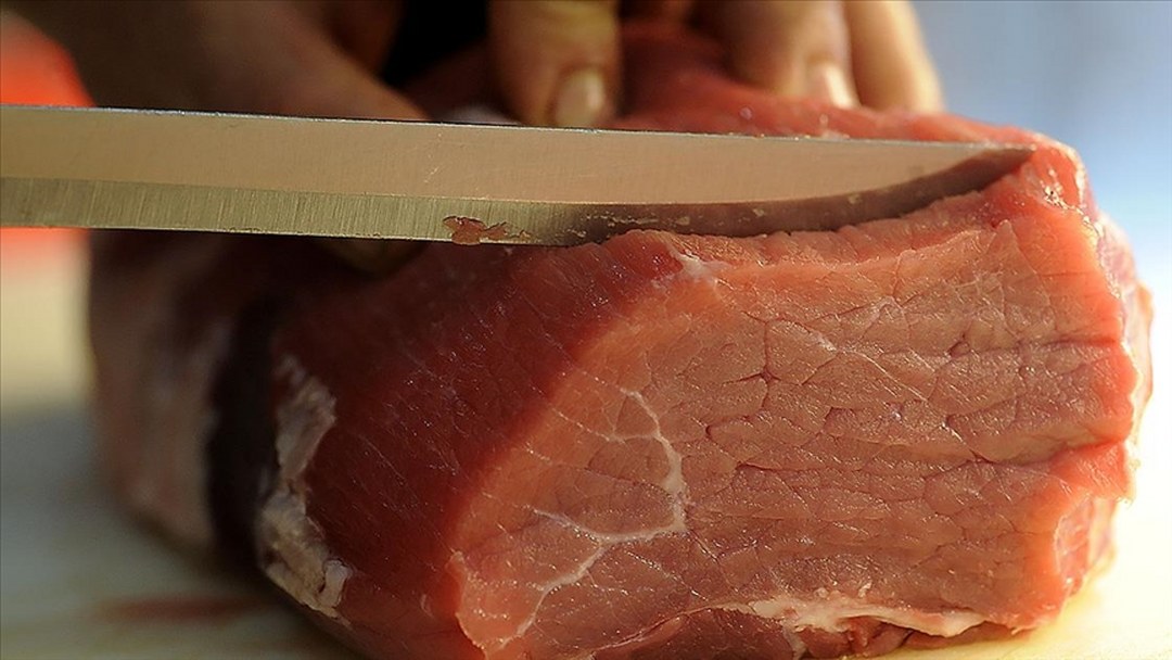 E. Coli bakterisi taşıyan et ürünlerinin idrar yolu enfeksiyonlarına neden olabileceği belirtildi