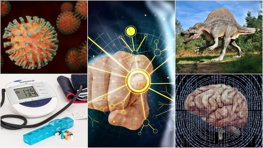 Mars’ta yaşama işaret eden izlerden hastalıkları öngören yapay zeka modeline eylüldeki bilimsel gelişmeler