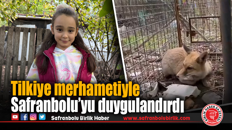 Tilkiye merhametiyle Safranbolu’yu duygulandırdı