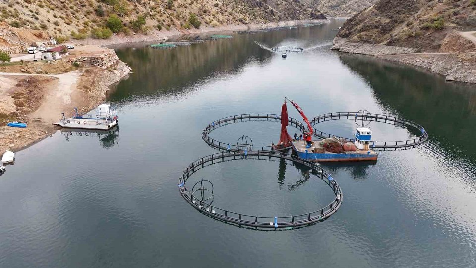 Diyarbakır’da 500 ton kapasiteli tesisten dünyaya “Mezopotamya somonu” gönderilecek