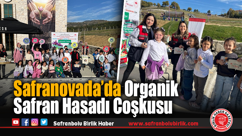 “Safranovada” organik safran hasadı çocuklarla birlikte gerçekleştirildi.