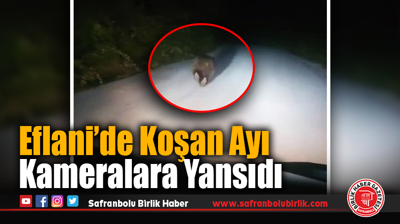 Eflani’de Koşan Ayı Kameralara Yansıdı