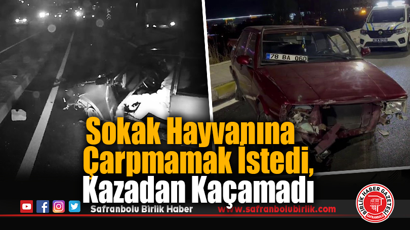 Sokak Hayvanına Çarpmamak İstedi, Kazadan Kaçamadı