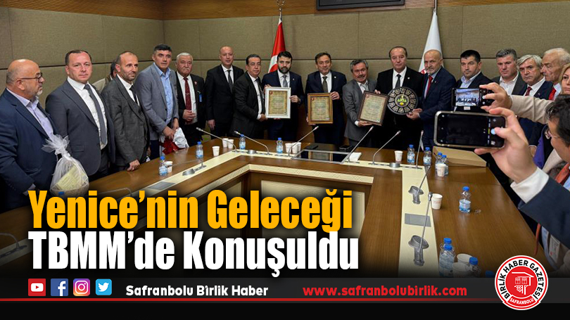 Yenice’nin Geleceği TBMM’de Konuşuldu