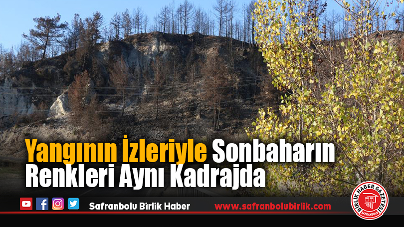 Yangının İzleriyle Sonbaharın Renkleri Aynı Kadrajda