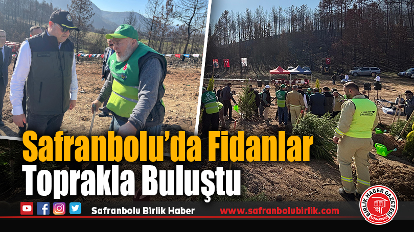 Safranbolu’da Fidanlar Toprakla Buluştu