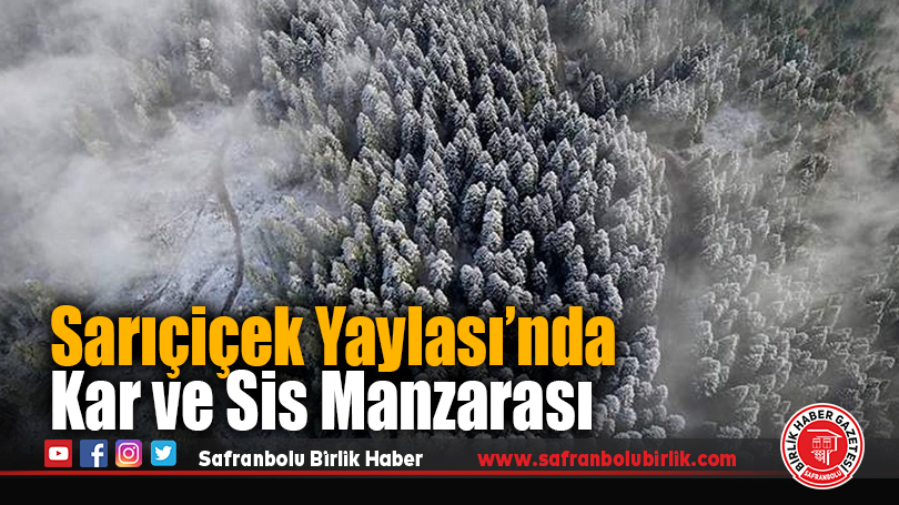 Sarıçiçek Yaylası’nda Kar ve Sis Manzarası