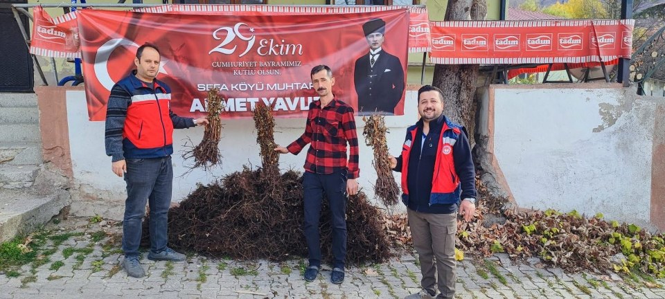 Domaniç’te çiftçilere yüzde 75 hibeli 3 bin adet ahududu fidanı dağıtıldı