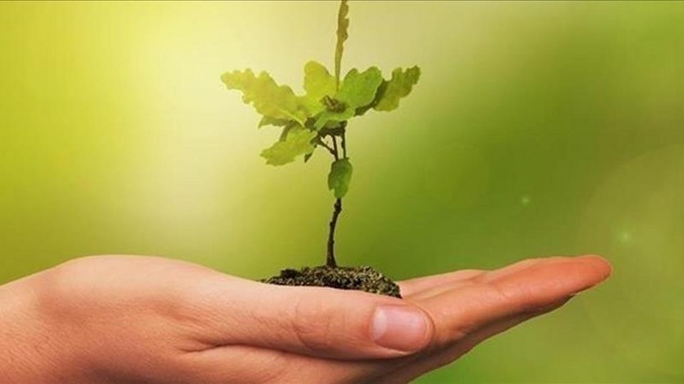 COP30’da küresel “yeşil sanayileşme” gündemi güçlendi