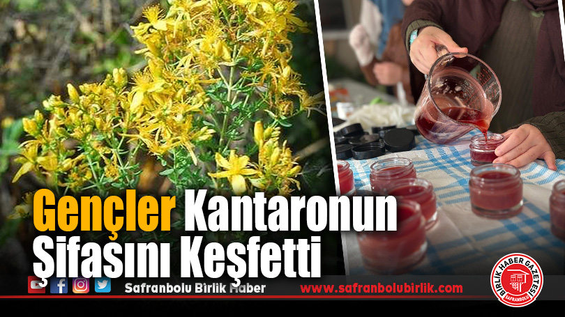 Gençler kantaronun şifasını keşfetti