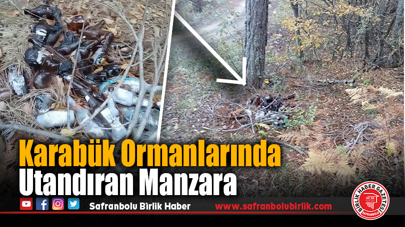 Karabük Ormanlarında Utandıran Manzara
