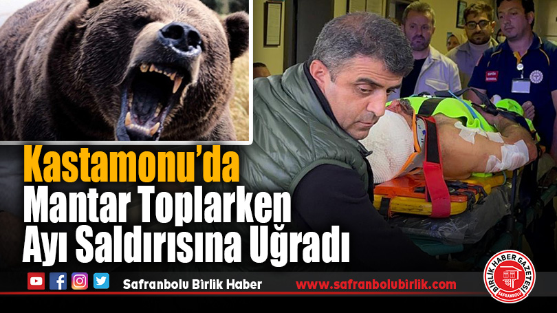 Kastamonu’da Bir İmam Mantar Toplarken Ayı Saldırısına Uğradı