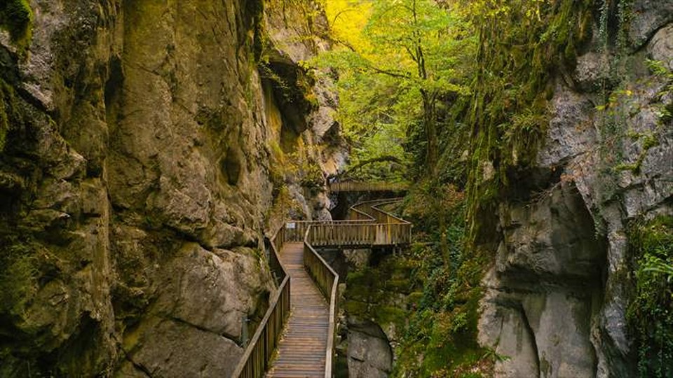 İçinden sonbaharın geçtiği kanyon: Horma